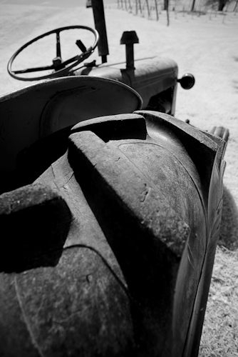 IMG_7074.jpg