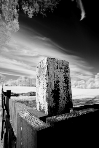 IMG_7151.jpg