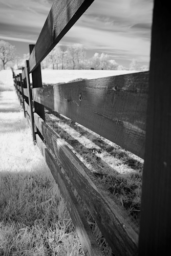 IMG_7154.jpg
