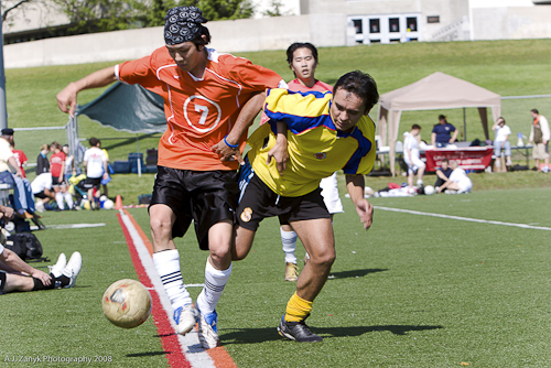 IMG_3155.jpg